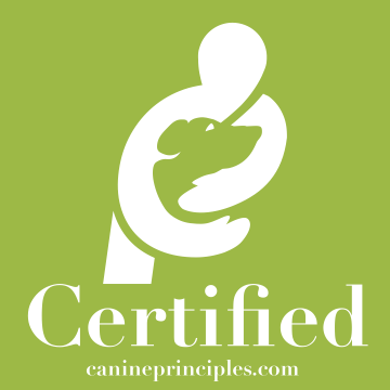 MantrailingUK Certified Instructor